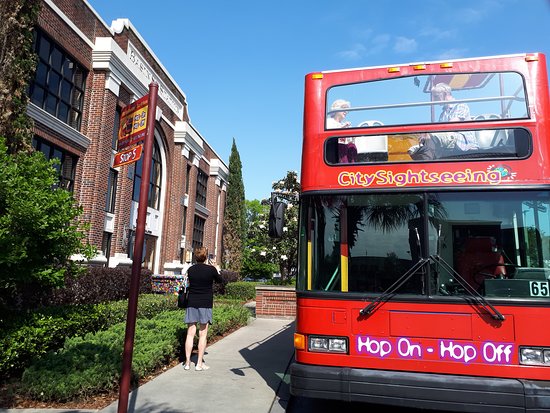 City Bus New Orleans Bus Tours family fun in new orleans