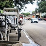 historic Jackson Square Royal Carriages fun in new orleans