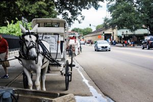 historic Jackson Square Royal Carriages fun in new orleans