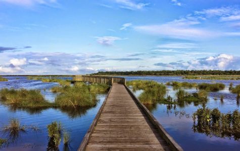 Bayou Sauvage Wildlife Refuge New Orleans Fishing & Boating family fun in new orleans