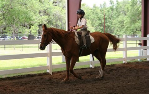 Cascade Stables New Orleans Horseback Riding family fun in new orleans