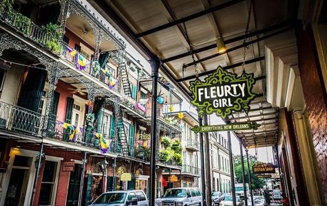 Fleurty Girl fun in new orleans shops