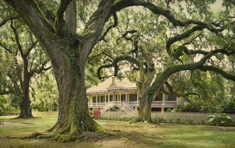 Laura Plantation best plantation tours in new orleans fun in new orleans