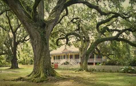 Laura Plantation best plantation tours in new orleans fun in new orleans