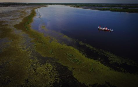 Louisiana Fishing Charters New Orleans Fishing & Boating family fun in new orleans