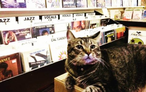 Louisiana Music Factory music store vinyl fun in new orleans