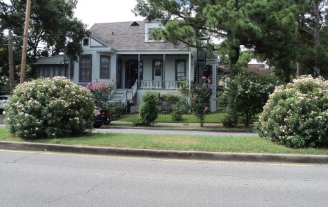 Oakview New Orleans Bed and Breakfasts fun in new orleans