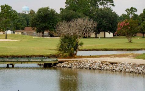 Belle Terre Country Club New Orleans Golf Courses family fun in new orleans