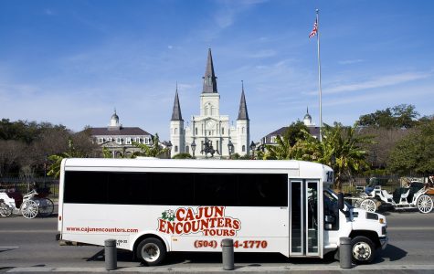 Cajun Encounters New Orleans Bus Tours family fun in new orleans